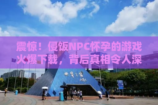 震惊！侵饭NPC怀孕的游戏火爆下载，背后真相令人深思