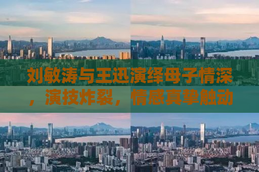 刘敏涛与王迅演绎母子情深，演技炸裂，情感真挚触动人心