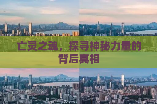 亡灵之魂，探寻神秘力量的背后真相