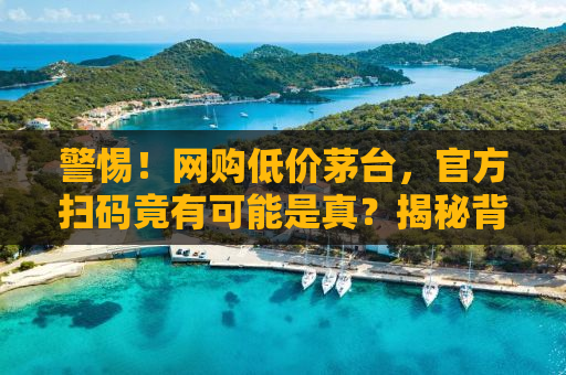 警惕！网购低价茅台，官方扫码竟有可能是真？揭秘背后的真相！