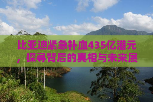 比亚迪紧急补血435亿港元，探寻背后的真相与未来展望