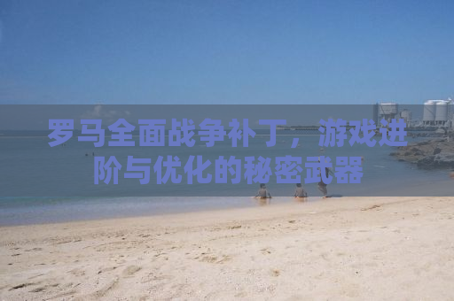 罗马全面战争补丁，游戏进阶与优化的秘密武器