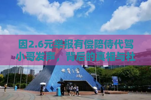 因2.6元举报有偿陪侍代驾小哥发声，背后的真相与社会反思